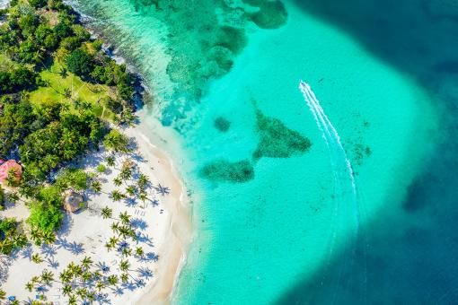 Aerial drone view of beautiful caribbean tropical island Cayo Levantado beach with palms and boat. Bacardi Island, Dominican Republic.