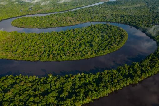 Images of the NANAY River and its large floodable forests that are home to a diversity of fauna and flora. It is a popular place for tourists to get away from the city and delve into nature deep in the Amazon rainforest of Peru.